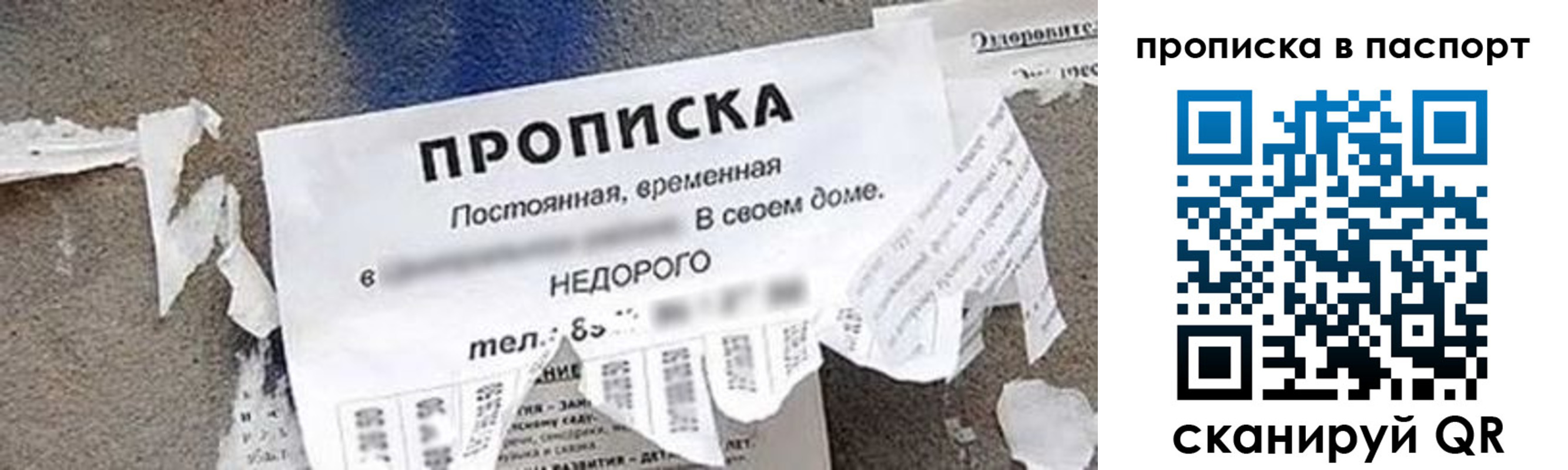 где прописаться в Суздали